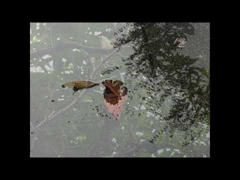 十一月　空の瞳 　薩摩忠作詞・湯山昭作曲「カレンダー」より