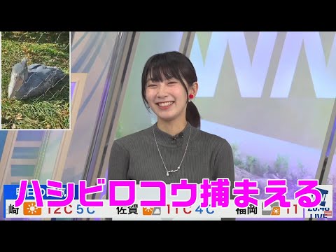 【檜山沙耶】ハシビロコウをポケモンボールで捕まえようとするお天気お姉さん【ウェザーニュース】