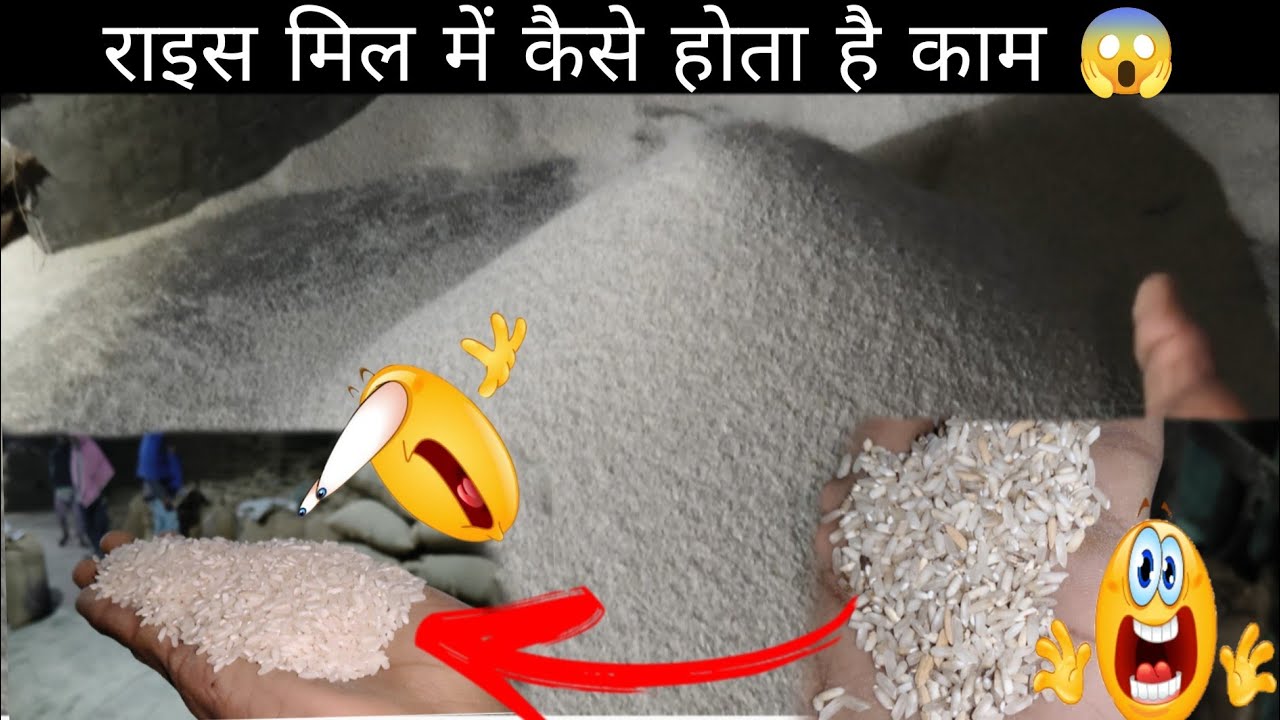 Aaj kar Di rice mil ki introduction 😱😱🤔?