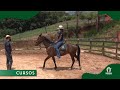 Aula de equitao com o mangalarga marchador incio