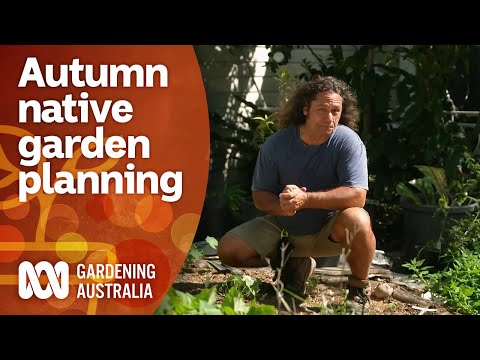 How to make an Autumn Australian native garden | Garden Design and Inspiration | Gardening Australia