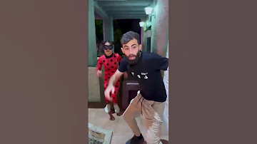 طلب ميراكولوس الدعسوقة من بودي انقاذ القط الاسود 
