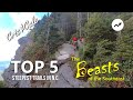 Top 5 Steepest Trails in North Carolina | Beasts of the Southeast | Toughest Hikes in the Blue Ridge