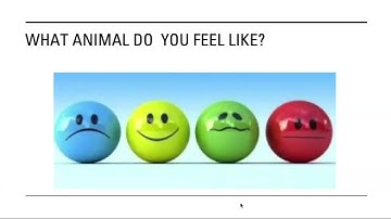 Communicatiebeheersingsprogramma | Kennissessie van SEMS Welfare Foundation