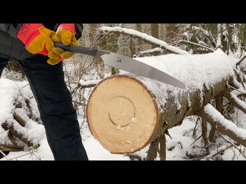 Вжик! - сказала маленькая японская пила Kariwaka | Как пилить мороженную древесину?