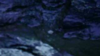 The very new music video for the song "He kisses the streets I walk...