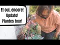 JE CHANGE ENCORE MES PLANTES DE PLACE !!! UPDATE et PLANTES TOUR (Misères + Plantes Succulentes)