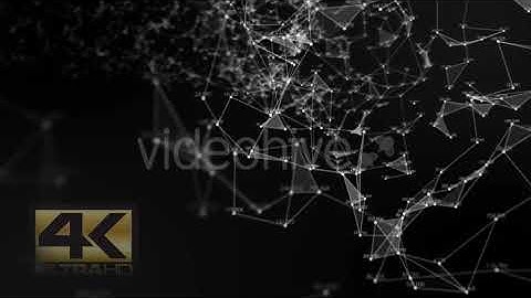 Plexus Tunnel Loop With Numbers Ver.1