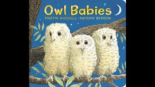 Storytime Owl Babies By Martin Waddell