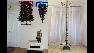 Ways To Survive Christmas With PETS!