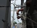 11Kv Pin insulator polymer Work #reels #electrician #electricalsafety #electricianwork #shorts