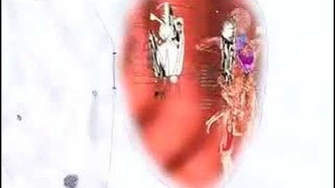 7 Minutes with Anaisa Franco