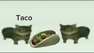 This Is A It’s Raining Taco