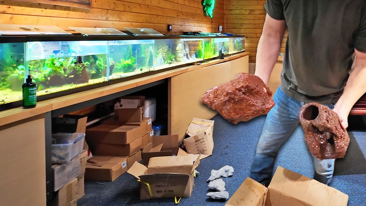 Every Aquarium Gets a Makeover (Day 1) - Fish Room Update Ep. 131