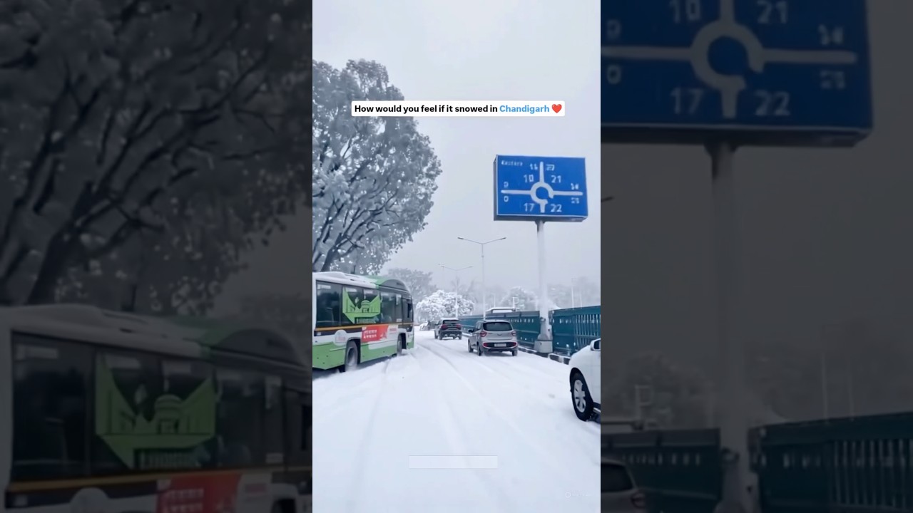 Snow at sector 17 Chandigarh🌨️⛄️