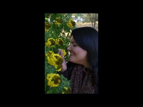 Karina lemos - Escolhido de deus - playback