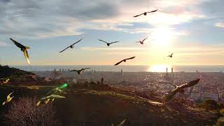 Sunrise Drone Shot above Park Güell in Winter in Barcelona
