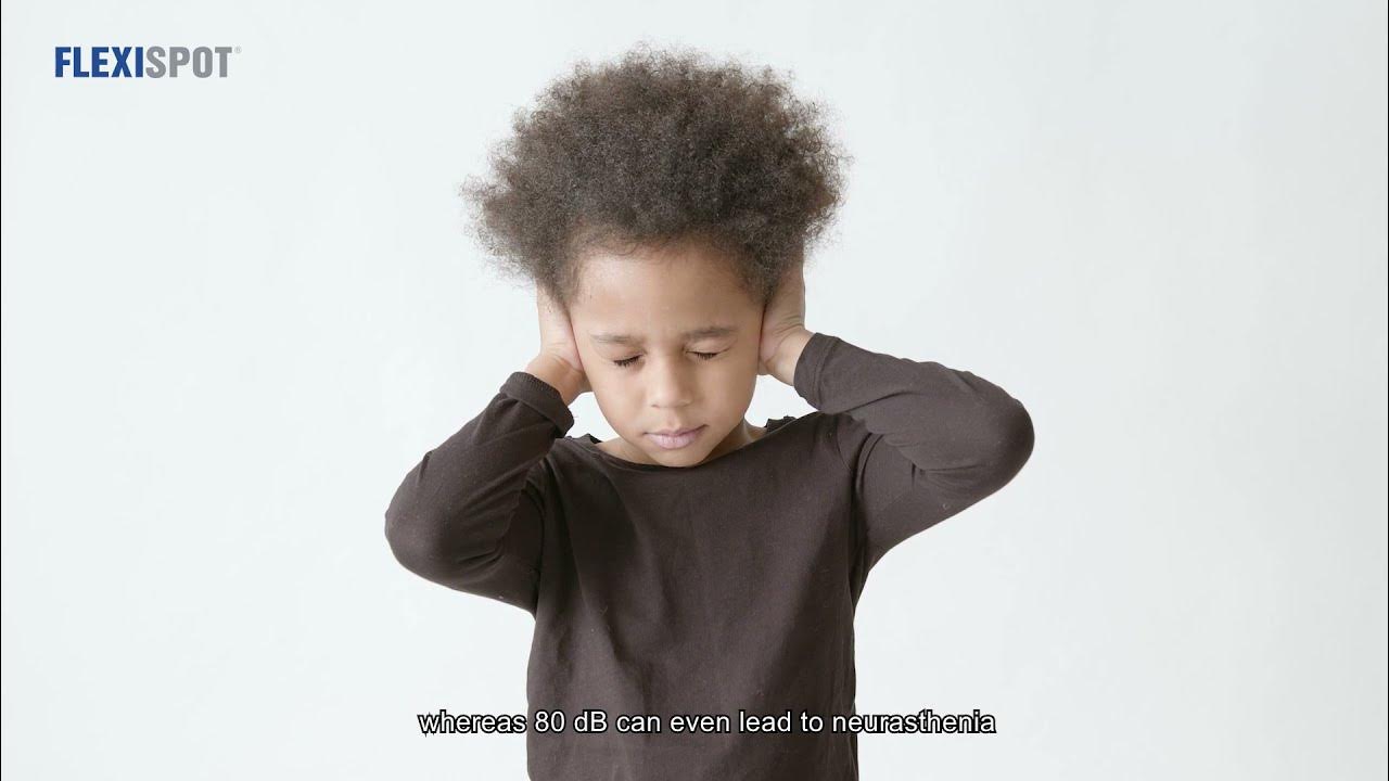 FLEXISPOT Standing Desk Quality Testing EN1 Noise Level YouTube