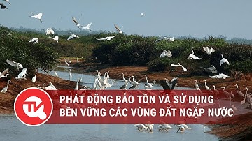 Bảo tồn và sử dụng bền vững các vùng đất ngập nước của Việt Nam | Truyền hình Quốc hội Việt Nam