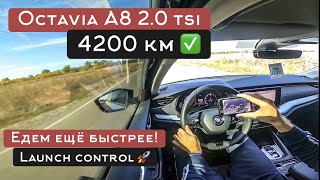 видео: Octavia A8 2.0 TSI, как заставить Шкоду ехать еще быстрее? Launch control, лепестки. Накатал 4200 км картинка: Octavia A8 2.0 TSI, как заставить Шкоду ехать еще быстрее? Launch control, лепестки. Накатал 4200 км