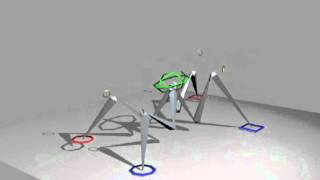 Bug walk 02
