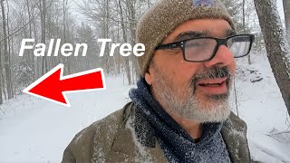 DANGEROUS!!! Need Your Advice In Cutting Fallen Tree During Snowstorm