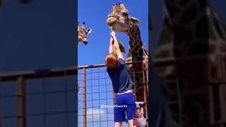funny animals reaction video #subscribemyYouTubechannel