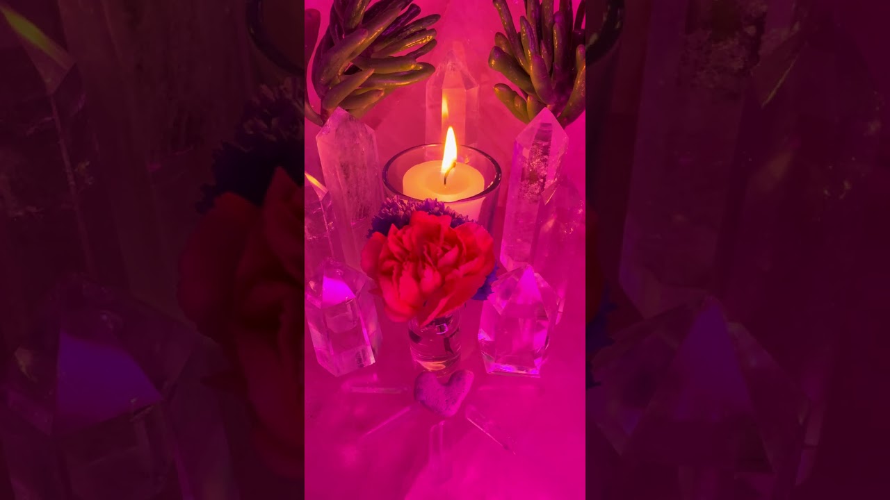 MHGod сорвал планы этих трех идиотов причинить вам вред‼️ Все кончено ❌🚨🔄⚡️