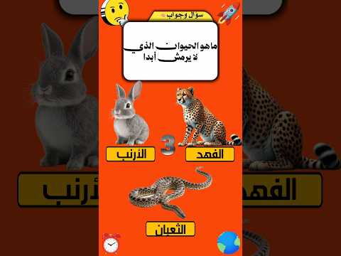 الغاز للاذكياء فقط اختبر معلوماتك معلومات عامة