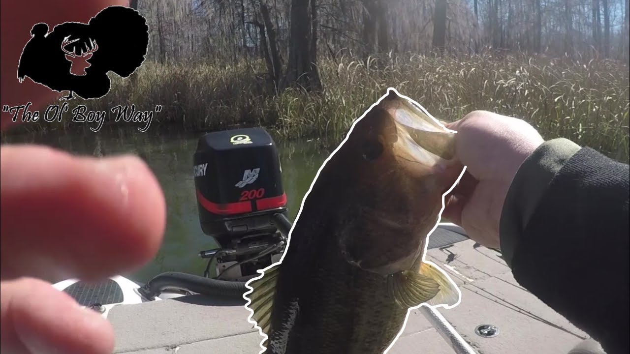 Bass Fishing TOURNAMENT! 2ND PLACE FINISH$$ | Lake St. John Louisiana