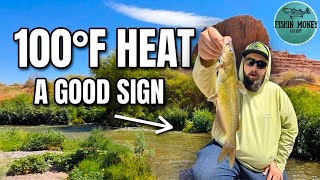 Fishing the Most Extreme Desert Water… Finding Life in 100° Heat!