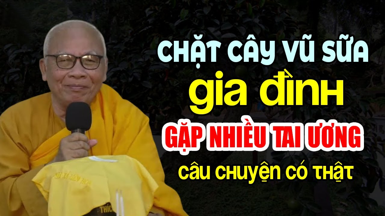 CHẶT CÂY VŨ SỮA GIA ĐÌNH GẶP NHIỀU TAI ƯƠNG CÂU CHUYỆN CÓ THẬT ĐƯỢC THẦY KỂ LẠI ( quan trọng )