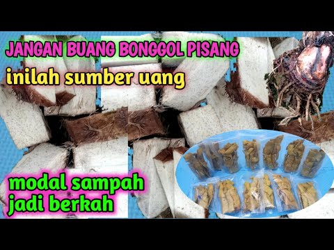 Cara Membuat Keripik Bonggol Pisang