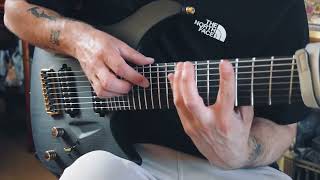 Celebrity 8 String Tapping / Patreon Riff #50 Wealth
