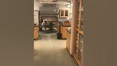 Krasileva lab move in