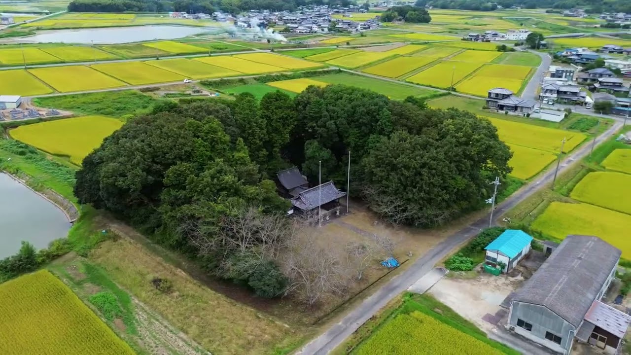 ドローン空撮動画