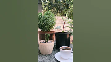 رجع ايلول ورجع الهدوء وخريف الشوارع اللهم اكتب لنا في كل يوم فيه خير وسعادة فيروز 
