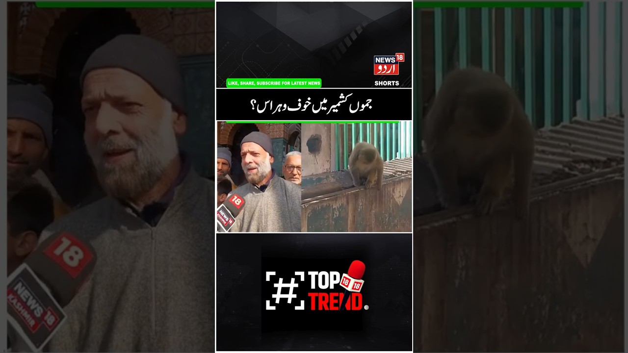 Jammu Kashmir | جموں کشمیر میں بندروں سے پریشان ؟ | Breaking News