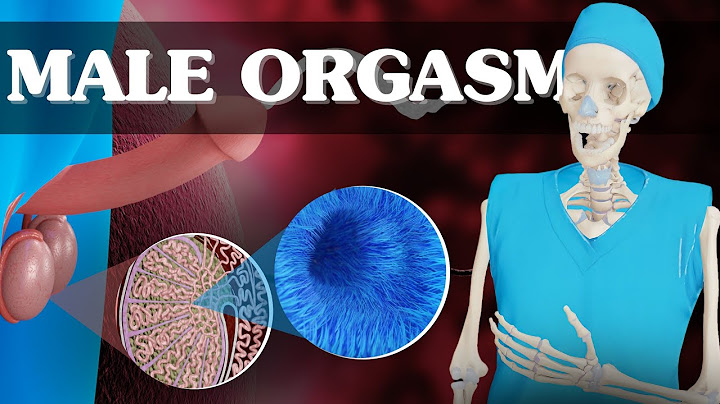 Exploring the Full Process of Sperm Ejaculation | 3D Animation Guide