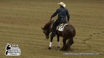 SDP Buffalo Ranch welcomes This Guns For Nic!