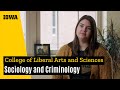 Sociology student experience at iowa