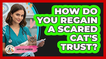 How Do You Regain A Scared Cat