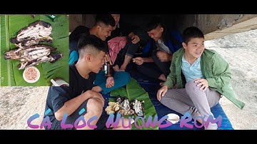 Câu Cá Lóc To Nướng Rơm Trên Đập Cực Hấp Dẫn | Vinh Tây Nguyên #8