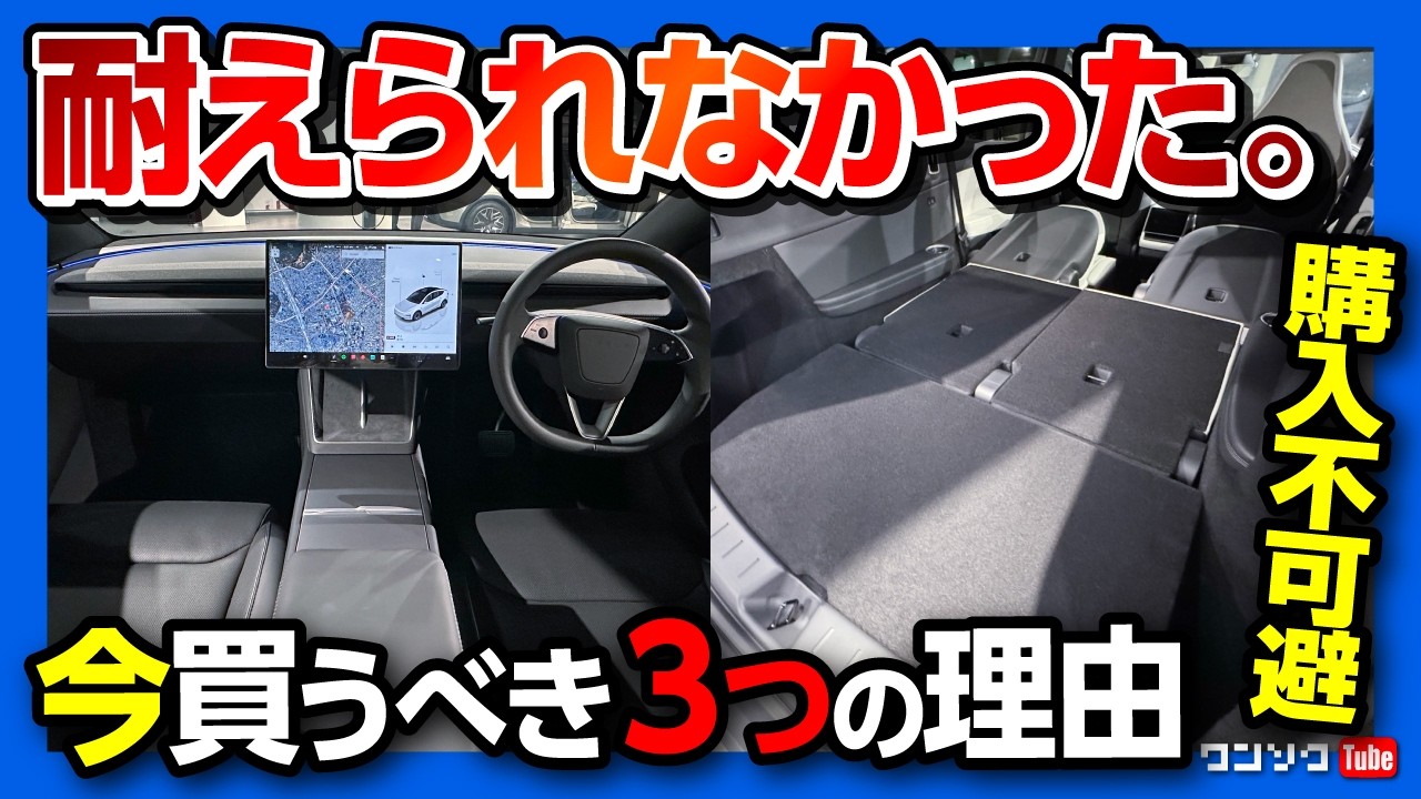 耐えられなかった】テスラモデルYL 購入&ステルスグレーを選んだ理由