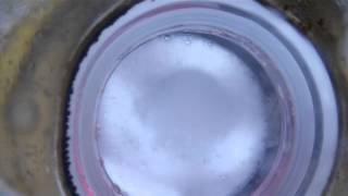 Protein Skimmer foam from Bubble Magus NAC 6