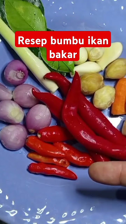 Resep bumbu ikan bakar istimewa√√