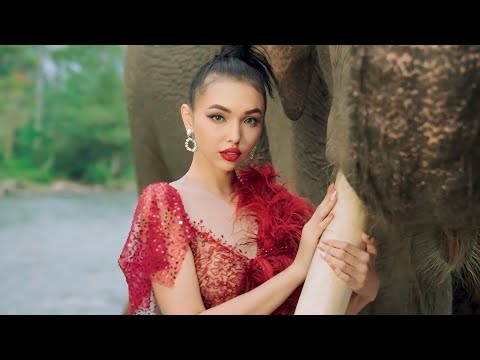 Miss Mega Bintang Indonesia 2024 Sumatera Utara - Video Profile