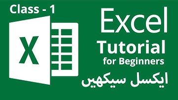 MS Excel Tutorial for Beginners in Urdu / Hindi | Class 1