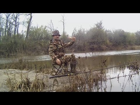 Видео: Она клюёт на падение. Наловил рыбы в мутной реке. РЫБАЛКА НА ПОПЛАВОК!