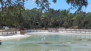 The History Of Lithia Springs! 